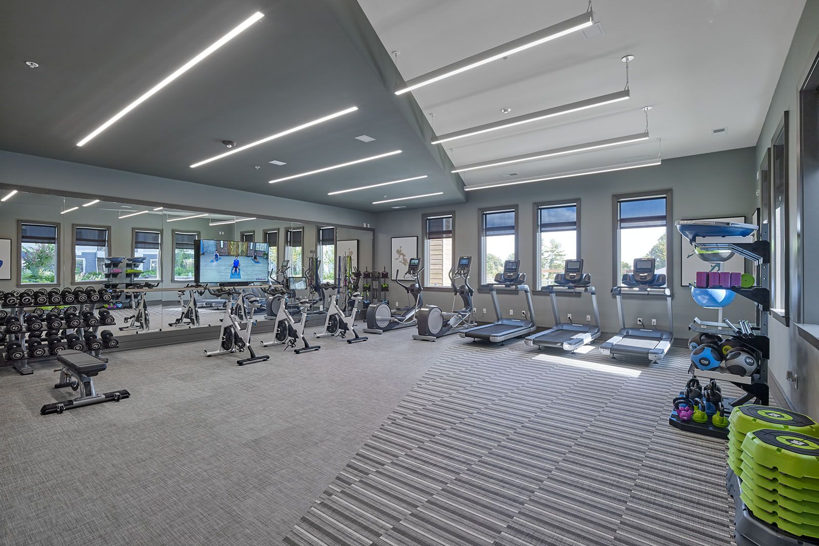 Modern gym with cardio machines, free weights, benches, mirrors, and fitness accessories in a bright, spacious room.