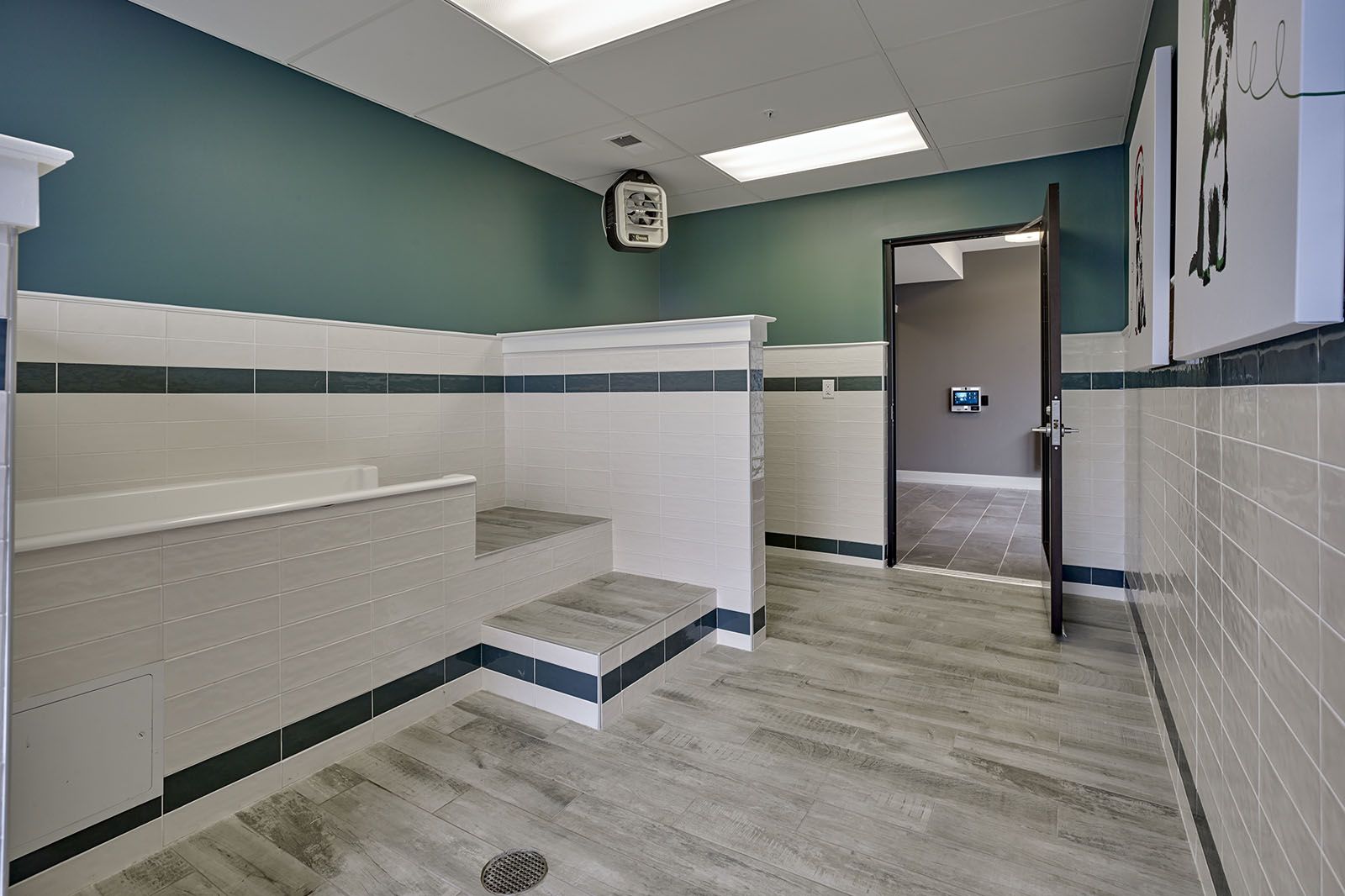 Modern tiled dog washing station with steps, teal walls, bright lighting, and an open door to another room.
